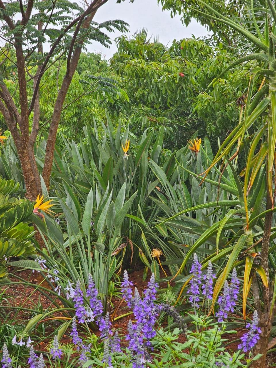Tzaneen White House Lodge Zewnętrze zdjęcie