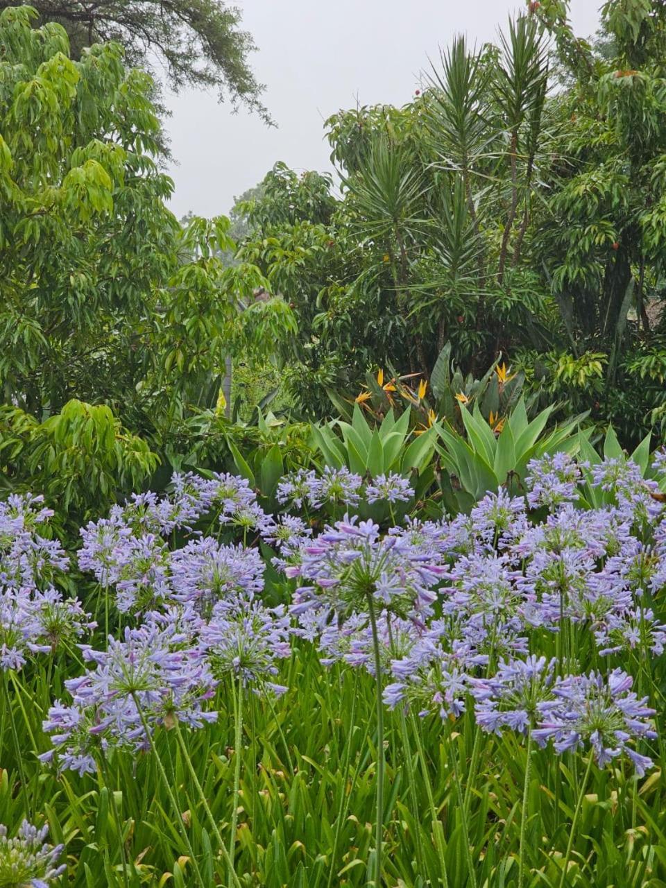 Tzaneen White House Lodge Zewnętrze zdjęcie